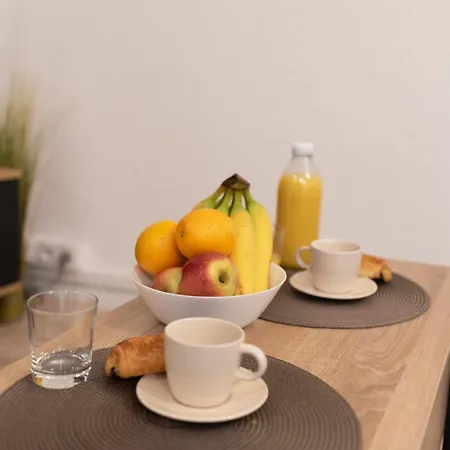 Spacieux T2 Au Centre Avec Parking Et Climatisation Carcassonne